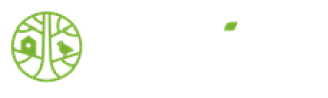 smife